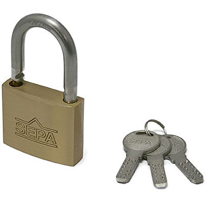 銀鍵の魔法 キキィル　ノーマル仕様　4枚 G-254 ディンプルシリンダー南京錠 ハイロジック キー式 真鍮製 呼び