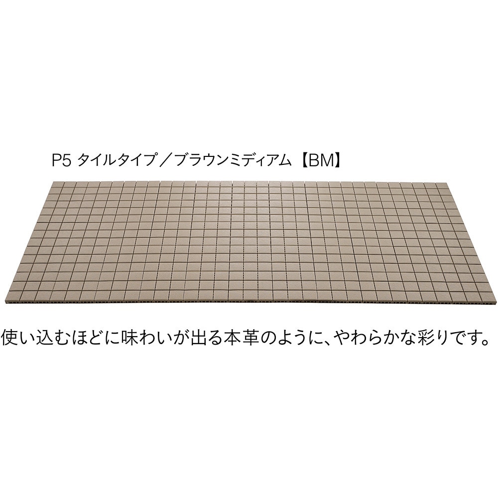 TD03BM クレガーレ プラスチックシリーズ P5タイル エスロン