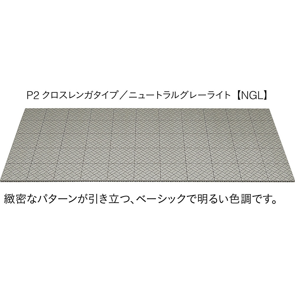 TB61NGL クレガーレ プラスチックシリーズ P2クロスレンガ エスロン