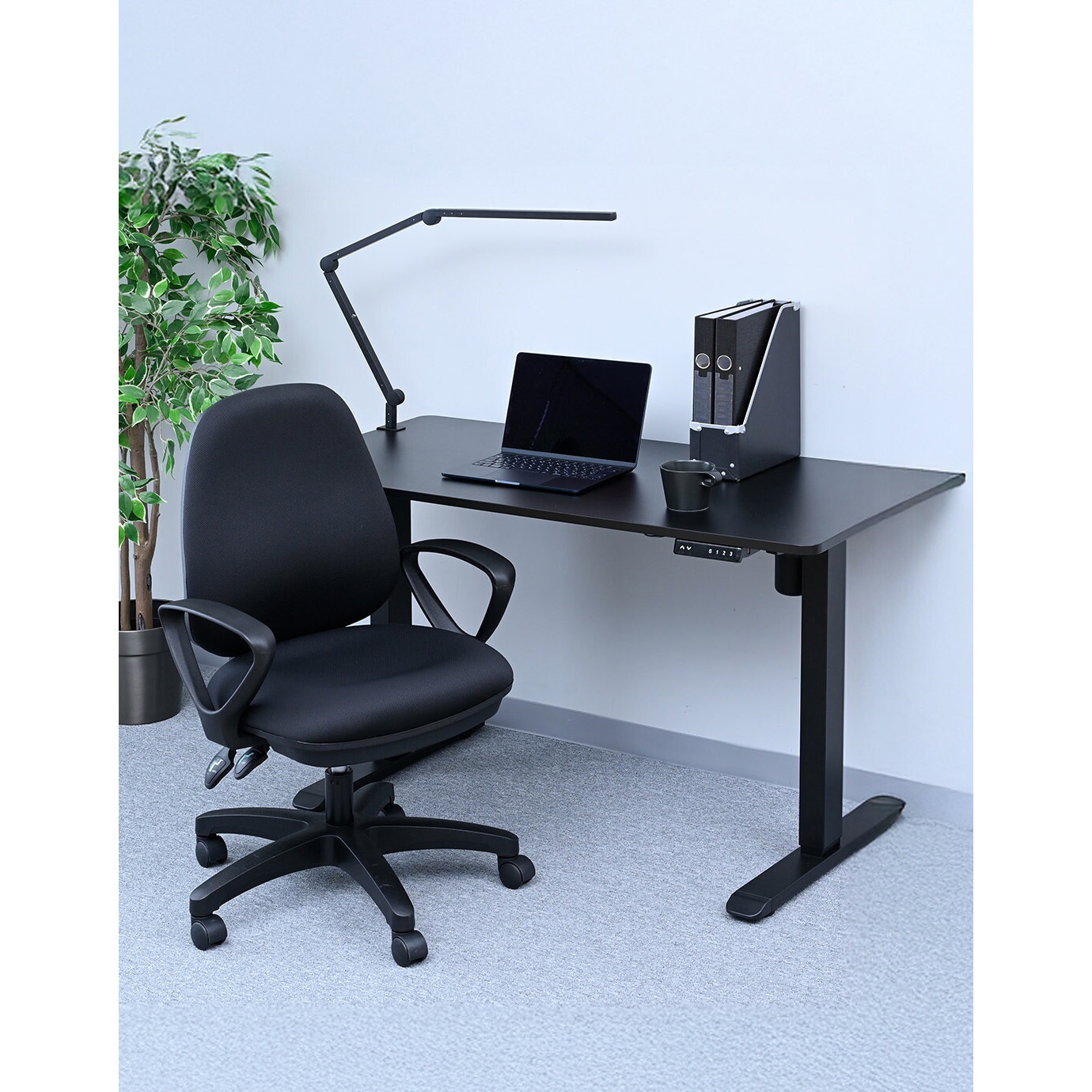 伸長法講座　ビデオセット 伸長法講座 ビデオセット 初心者必見】動画編集スクールおすすめ22選