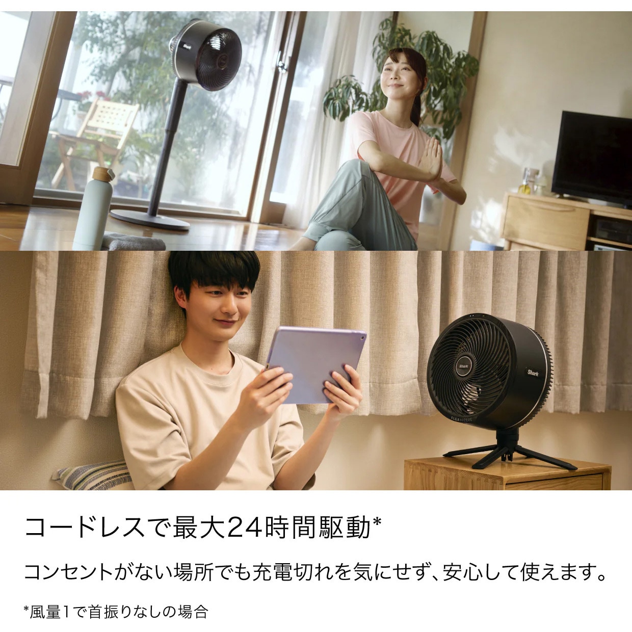FA222JBK FlexBreeze コードレスサーキュレーターファン 1台 Shark