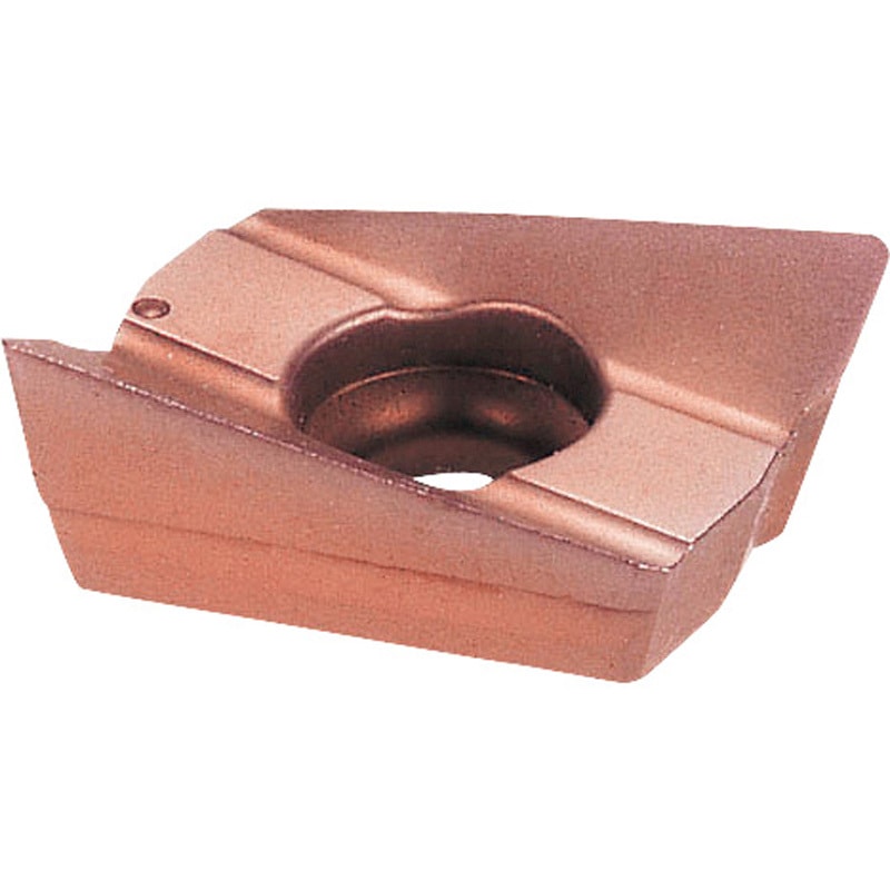 ARG160904  ACP300 フルカットミルFCM型インサート ACP300 鋼用 1箱(10個) カイザー 【通販モノタロウ】 9,998円