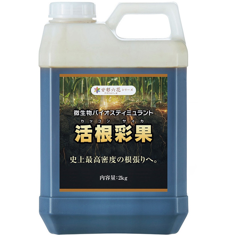 活根彩果 1個(2kg) 甘彩六花 【通販モノタロウ】