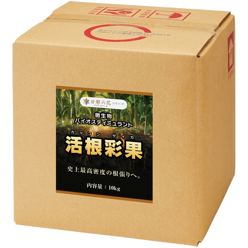senna、他の方はご購入ご遠慮下さい 活根彩果 1箱(10kg) 甘彩六花 【通販モノタロウ】