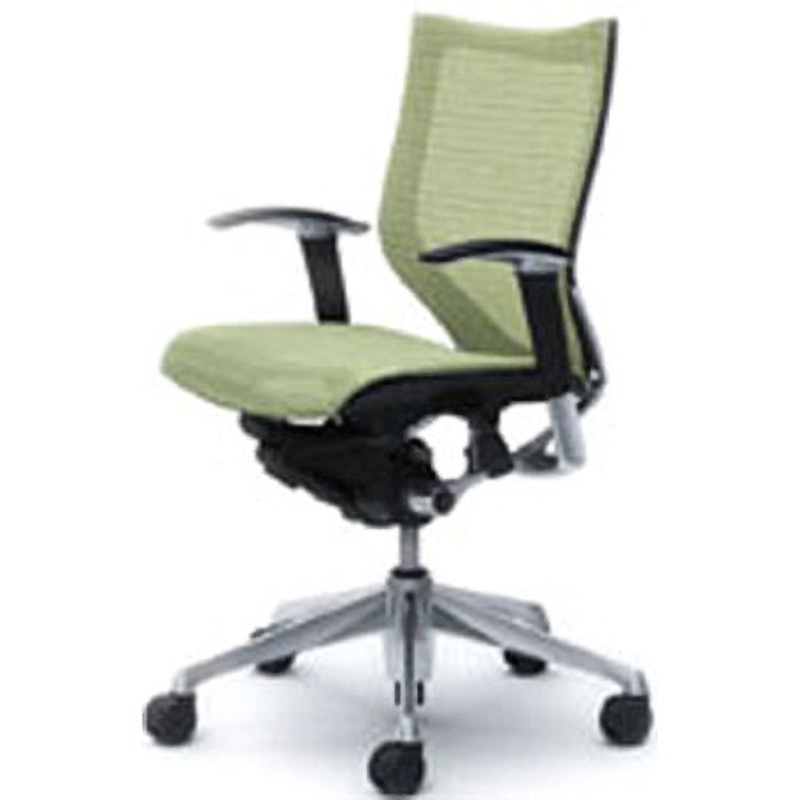 CP83AR FEH5 |オカムラ バロン オフィスチェア ローバック 可動肘付 メッシュ ポリッシュフレーム ブラックボディ ダークク 00様専用 セイルチェア ブラック CP83AR-FPG1 オカムラ バロン 可動肘