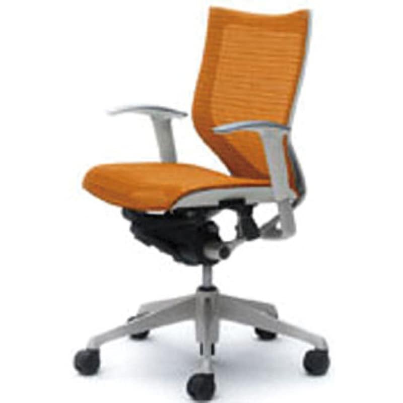 CP83CW-FDH8 オフィスシーティング バロン 可動肘 ローバック 背スタンダードメッシュ オカムラ(岡村製作所) 肘掛あり 材質アルミダイキャスト脚 シルバー ハンガーなし   CP83CW-FDH8 87,890円