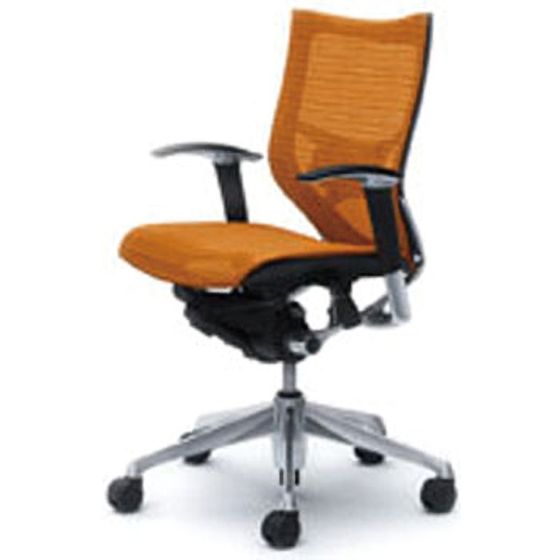 CP83AS-FDH8 オフィスシーティング バロン 可動肘 ローバック 背スタンダードメッシュ オカムラ(岡村製作所) 肘掛あり 材質アルミダイキャスト脚 ポリッシュ ハンガーなし   CP83AS-FDH8