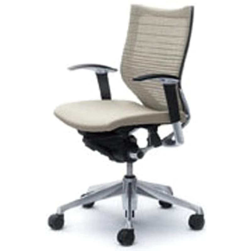 CP83BR-FGR2 オフィスシーティング バロン 可動肘 ローバック 背グラデーションサポートメッシュ オカムラ(岡村製作所) 肘掛あり ホワイト色   CP83BR-FGR2