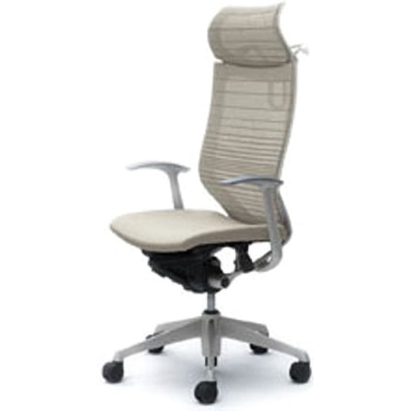 CP48DW-FGR2 オフィスシーティング バロン 固定肘 EXハイバック 固定ヘッドレスト 背グラデーションサポートメッシュ 1脚 オカムラ(岡村製作所) 【通販モノタロウ】