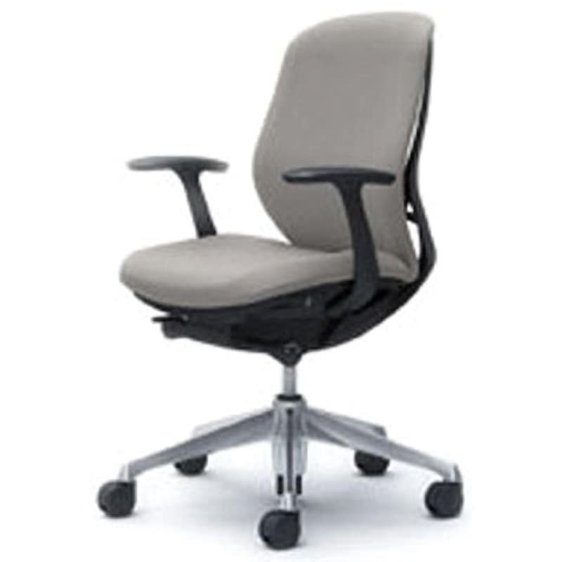 C643BR-FSG3 オフィスシーティング シルフィ 固定肘 ローバック 背クッション 五本脚 オカムラ(岡村製作所) キャスターあり ライトグレー色 ブラック 幅615mm奥行645mm高さ878mm  C643BR-FSG3