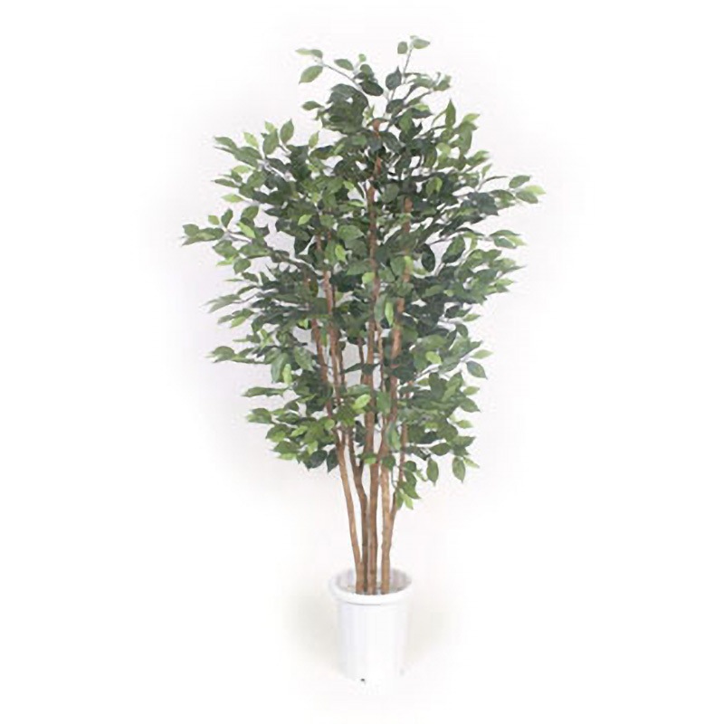 GB-222 人工植物H1500 1台 LION (ライオン事務器) 【通販モノタロウ】