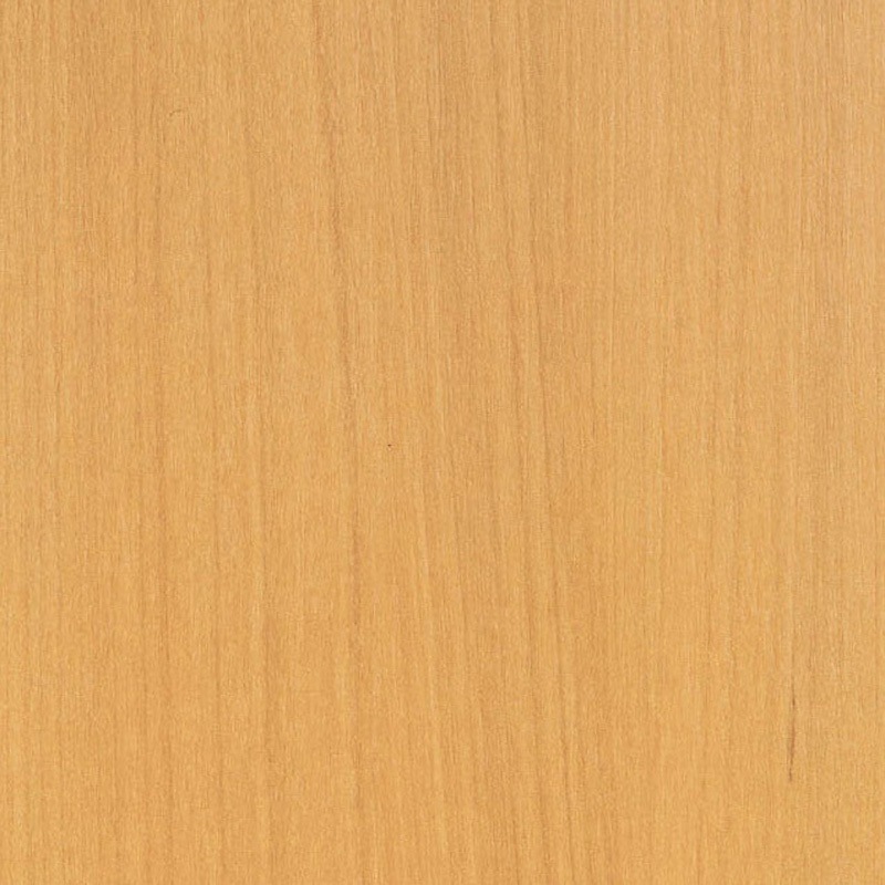 RW-N1690 ダイニングテーブル LION (ライオン事務器) ナチュラル色 高さ700mm間口1600mm奥行900mm  RW-N1690