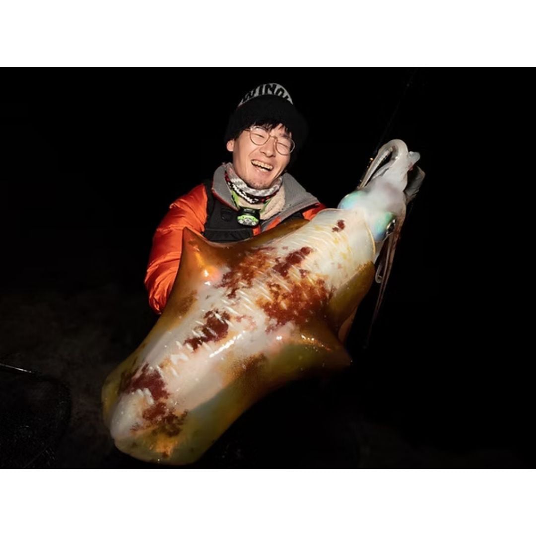 Batuta80S+ TRANSCENDENCE(トランスセンデンス) 継数6+1本 全長8.0ft