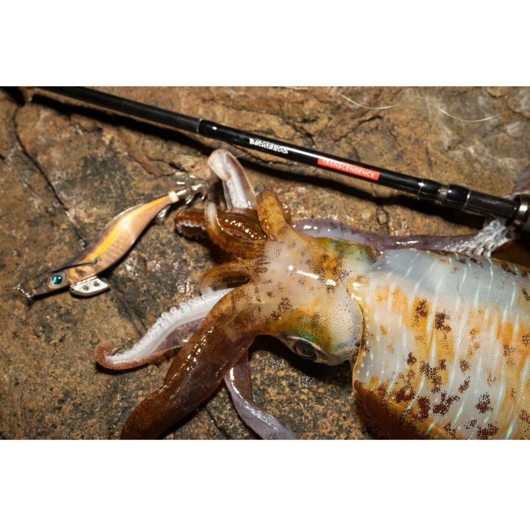 Batuta80S+ TRANSCENDENCE(トランスセンデンス) 継数6+1本 全長8.0ft