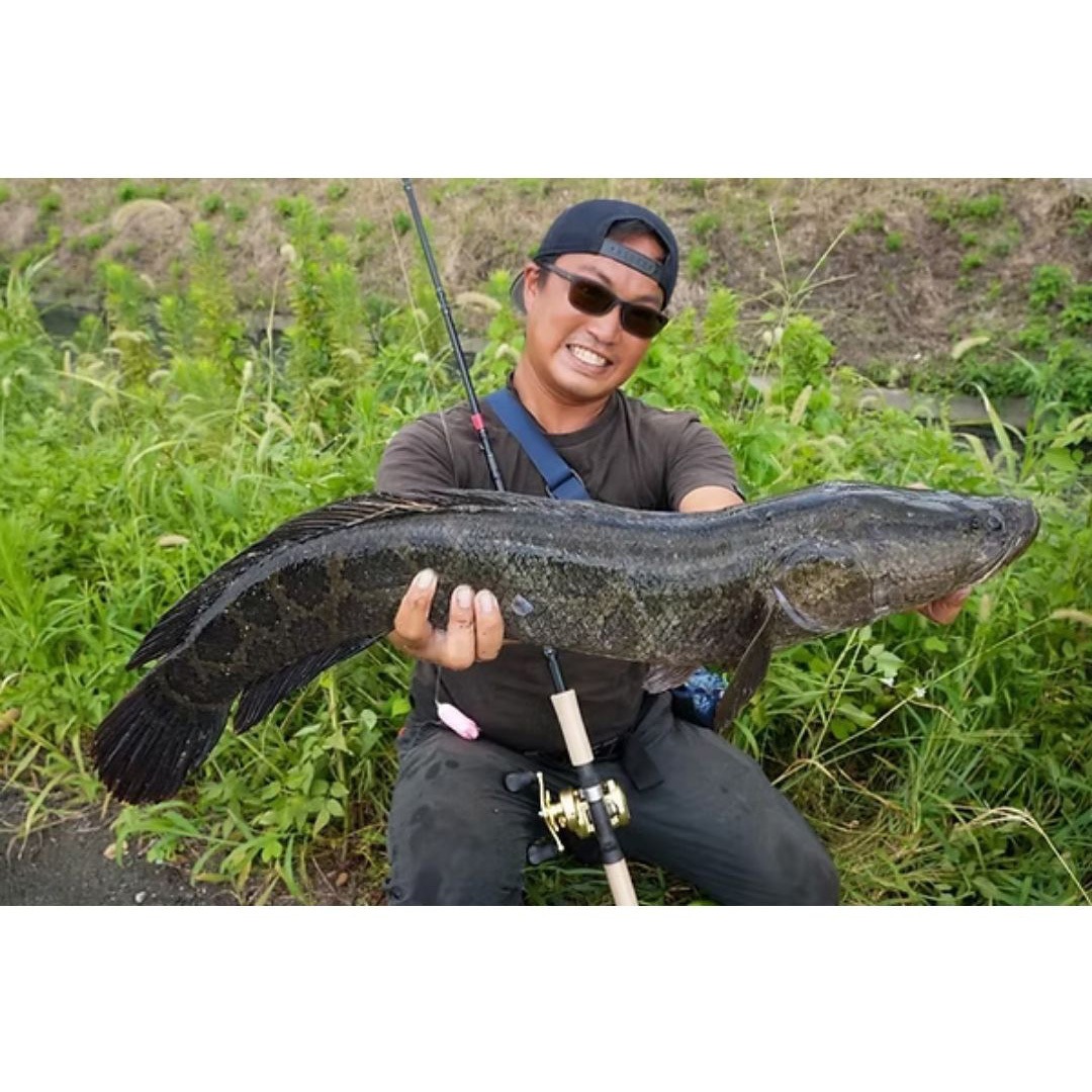 Trapa77B+ TRANSCENDENCE(トランスセンデンス) 全長7.7ft仕舞