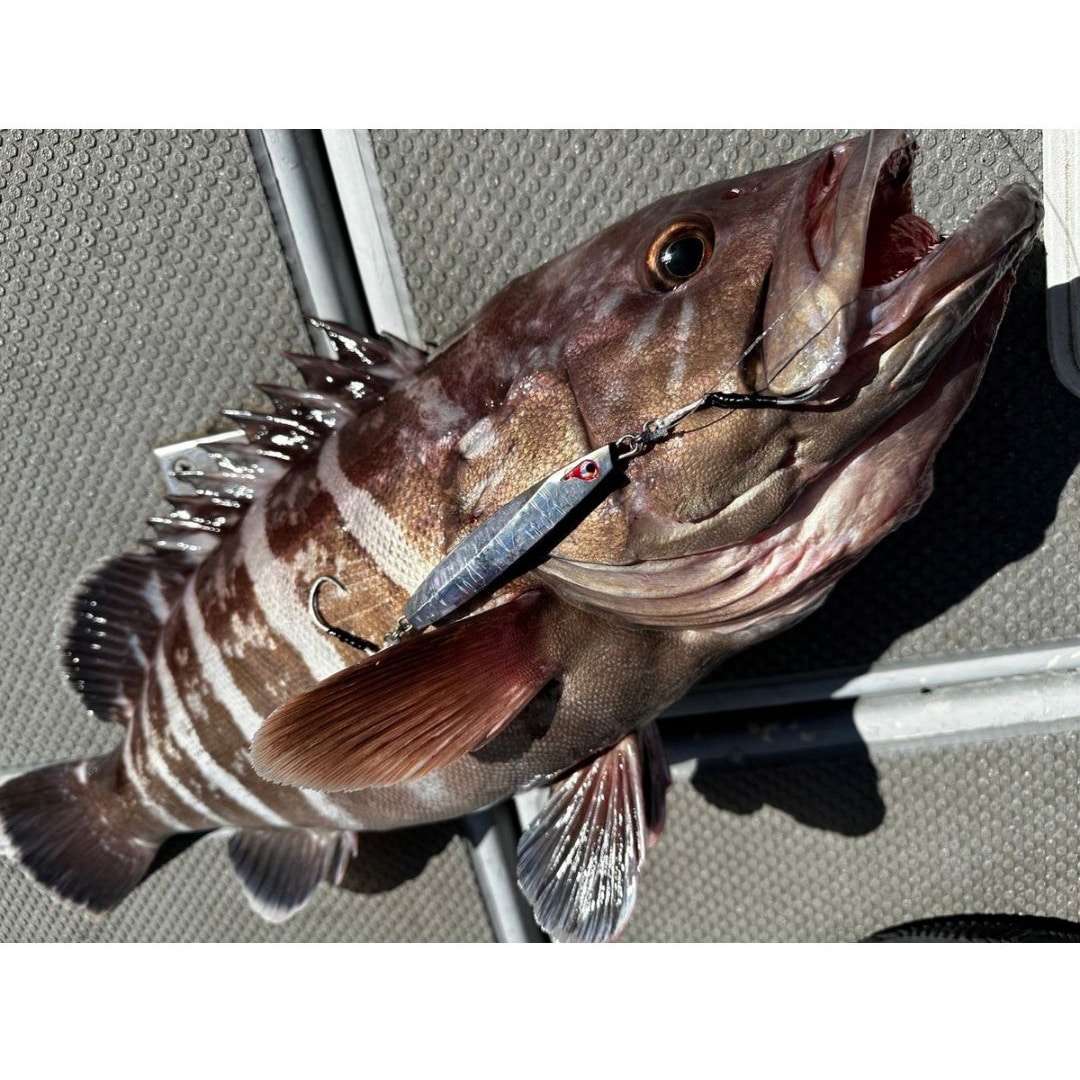 BOZLES イエヤス　TG ケイムラシルバー　オールグロー　200 BOZLES イエヤス TG ケイムラシルバー オールグロー 200 BOZLES