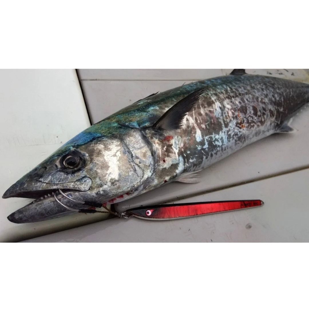 400g TGノブナガネオ BOZLES(ボーズレス) グローヘッドシルバー色 400g