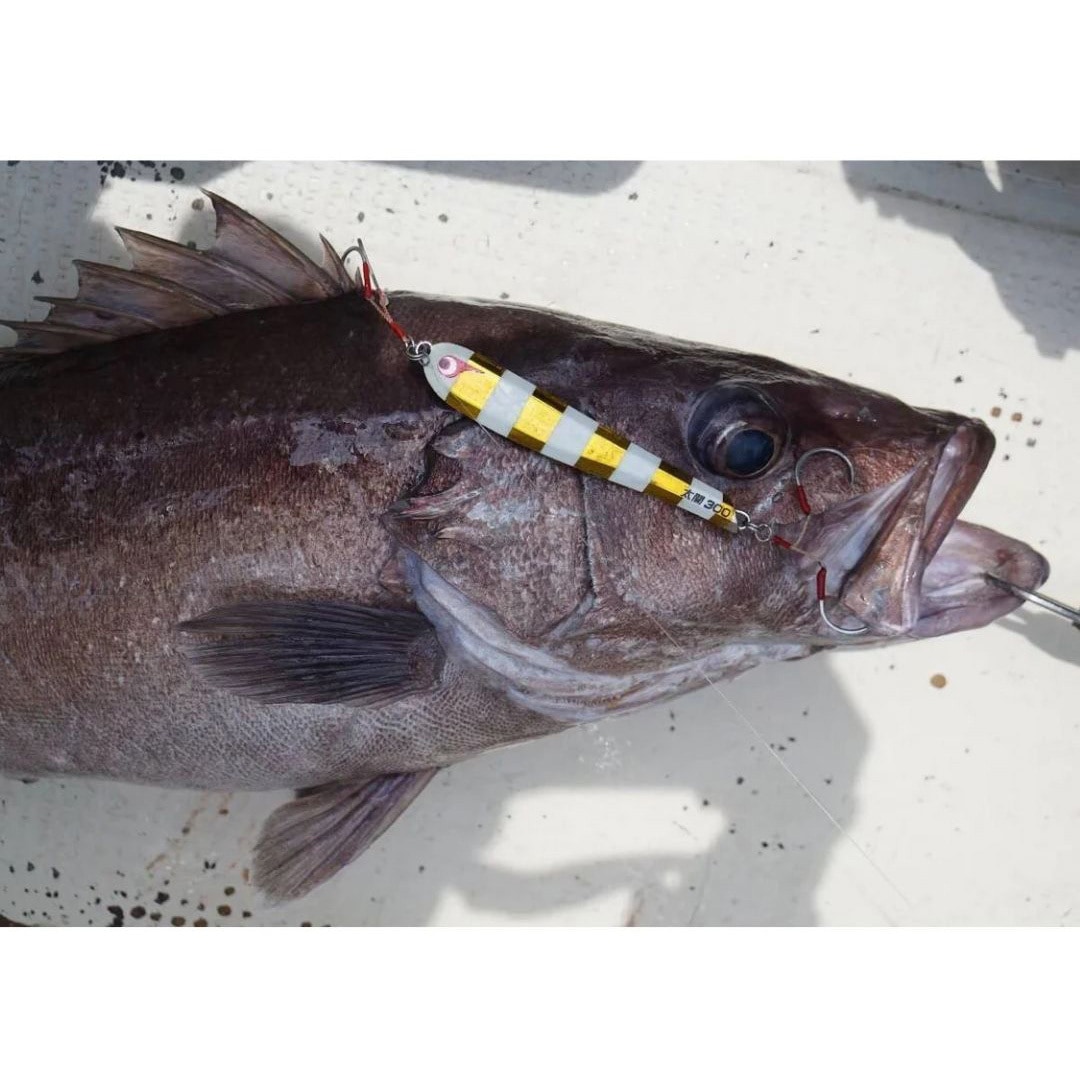 300g TG太閤ヒデヨシ BOZLES(ボーズレス) オールグロードットオレンジ