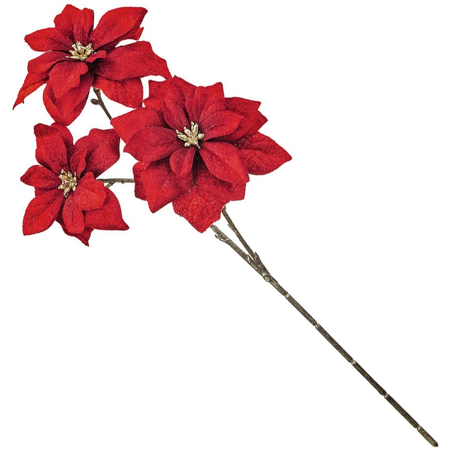 FX007923-003 ベルベポインセチア MAGIQ(東京堂) レッド色 寸法花径9