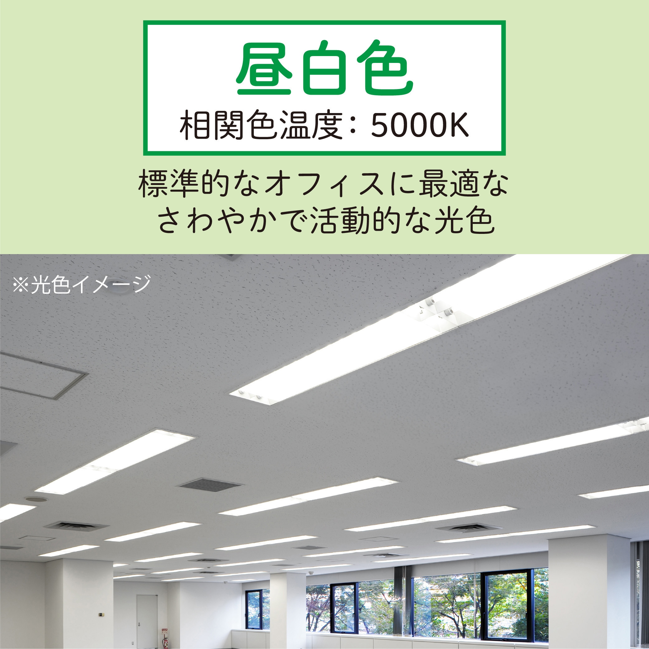 LD40T50/16/26G13-H1 LED直管ランプ HotaluX(ホタルクス) 光源色:昼