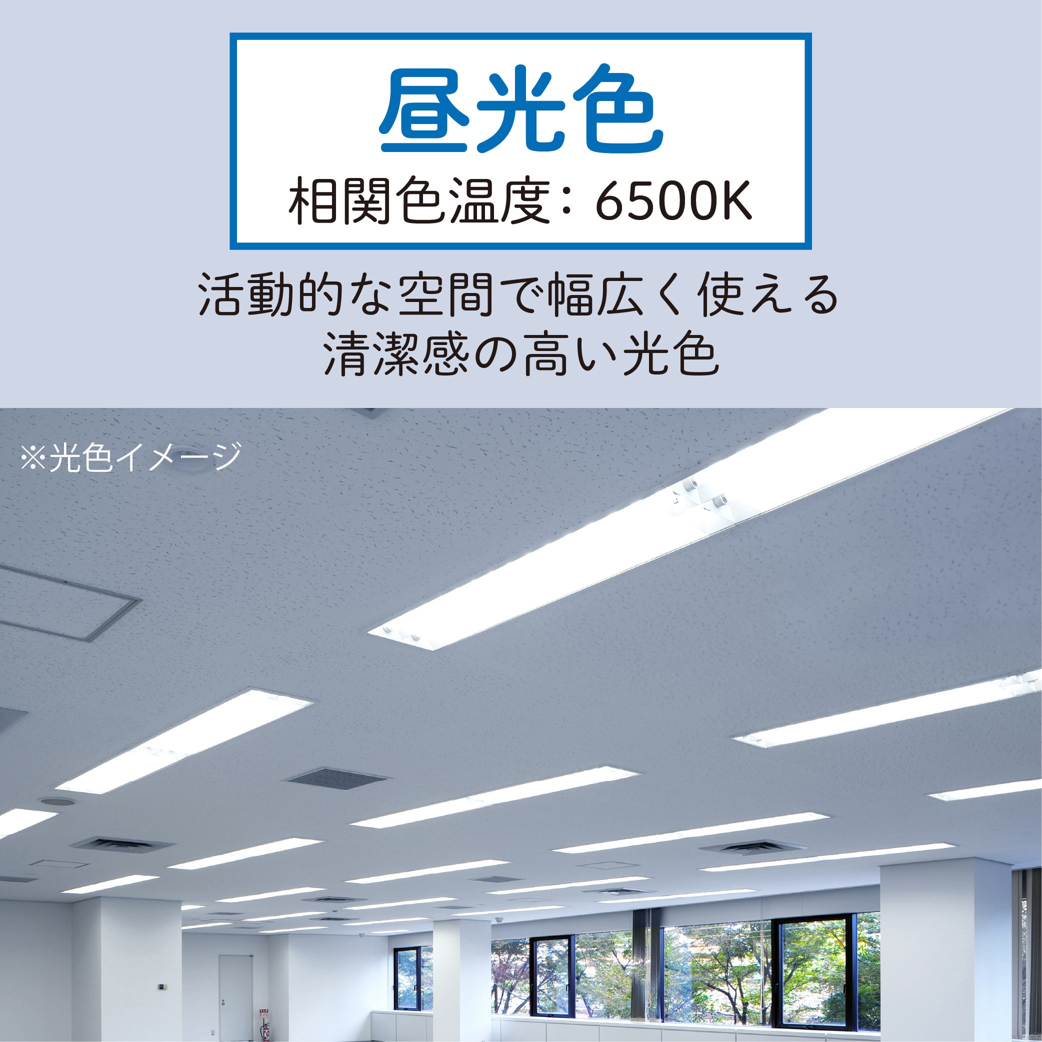 LD40T65/16/25G13-H1 LED直管ランプ HotaluX(ホタルクス) 昼光色6500K