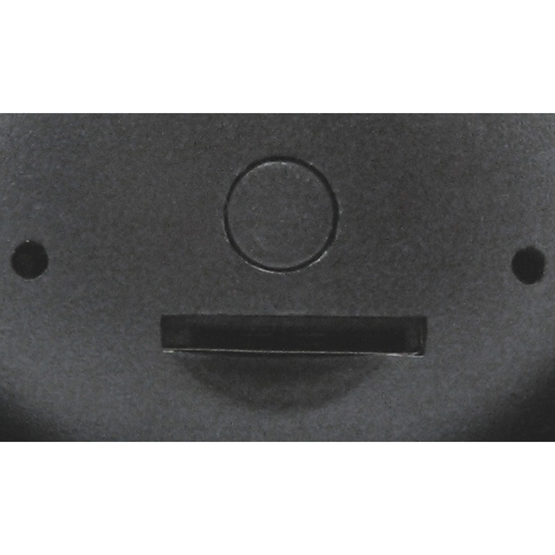 SEC-TF-U060NIBC 天井型メモリーカード記録防犯カメラ ブロード