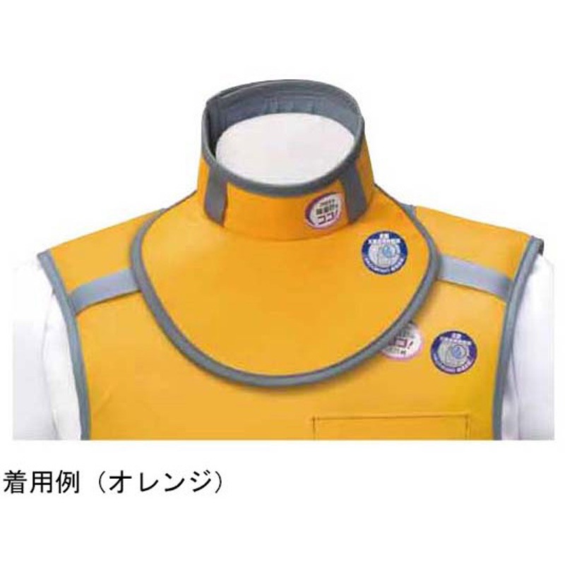 SINAR C2 4×5 PA-45 カットフィルムホルダー 袋蛇腹付属 JNGE-25 放射線防護用カラー HAGOROMO ジャストホルダー ネックガード