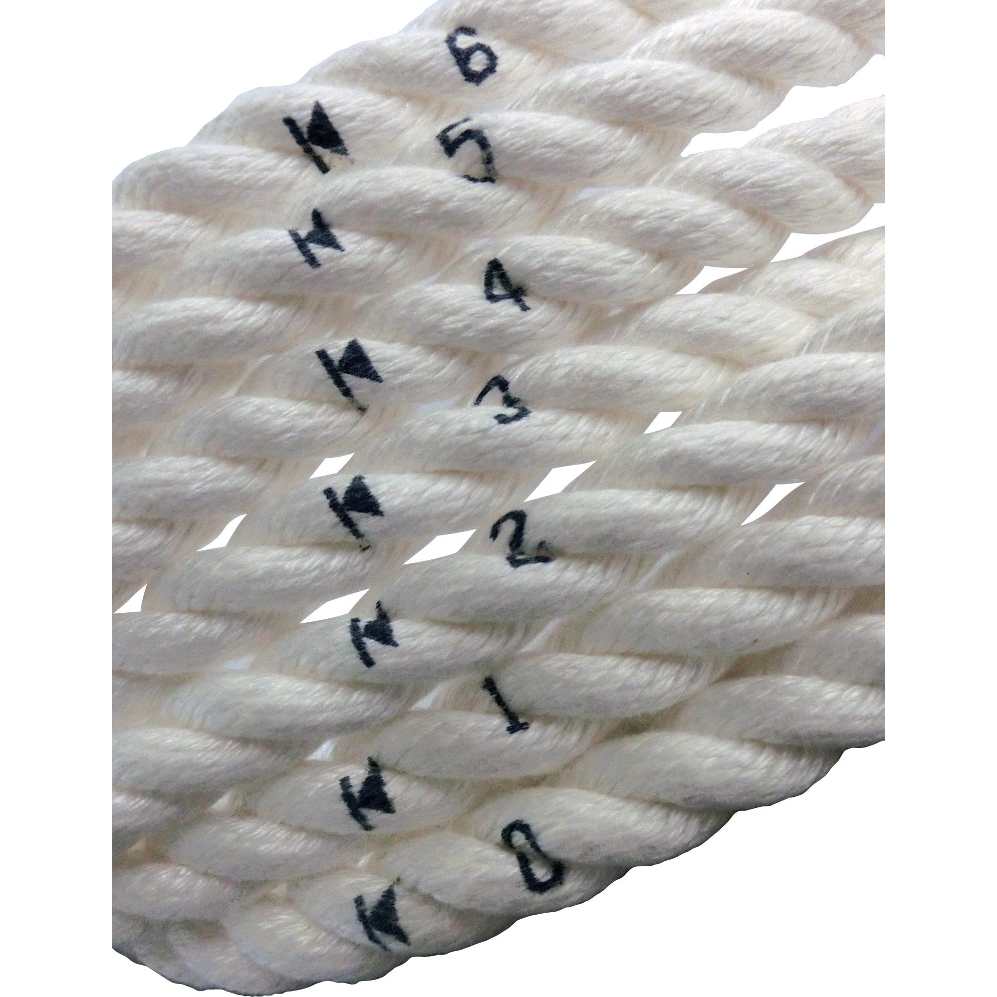 高木綱業 はかれる君(3つ打タイプ) 6mm 36-6751 1巻 高木綱業 高木 はかれる君(3つ打タイプ) 6mm 36-6751 1巻 818-9308