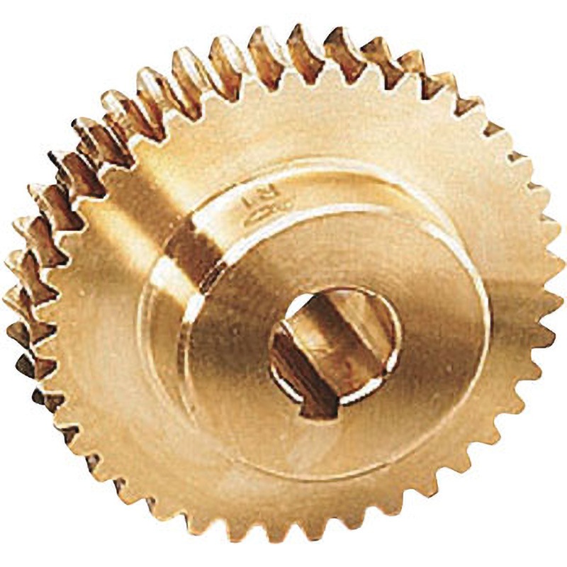 G1A50L2-P-8 KG ウォームギヤ モジュール1．0 アルミニウム青銅鋳物