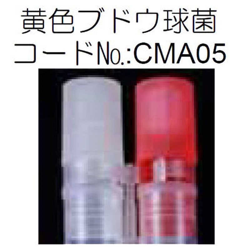 CMA05 簡易食中毒菌検査キット(STチューブⅢツインタイプ CMA05 簡易食中毒菌検査キット(STチューブⅢツインタイプ