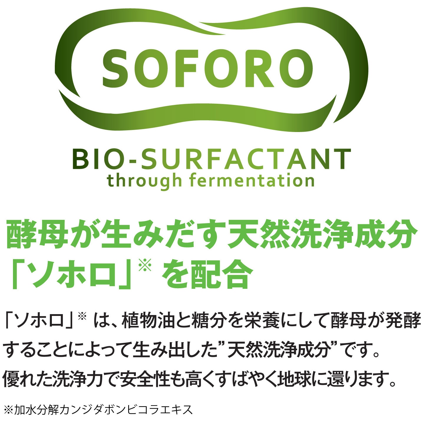 23157 スクラビンN SARAYA(サラヤ) 液体タイプ PRTR制度対応品 23157 スクラビンN SARAYA(サラヤ) 液体タイプ PRTR制度対応品