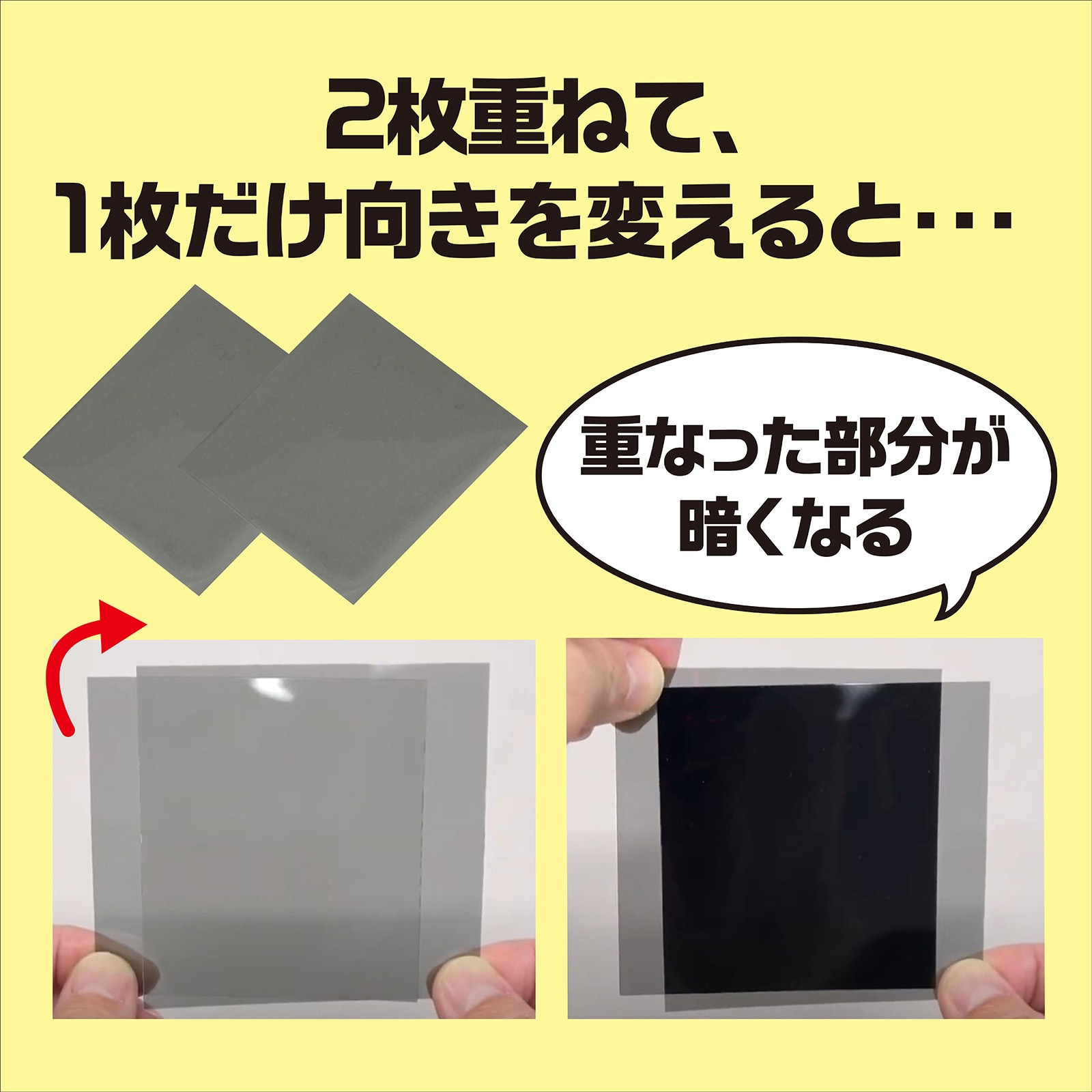 93493 偏光板 1セット(10枚) アーテック[学校教材・教育玩具] 【通販