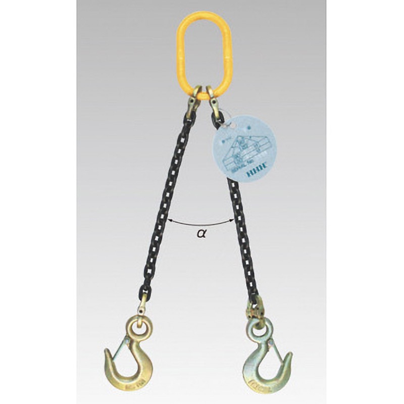 SCS5D チェーンスリング スリーエッチ 1本 SCS5D