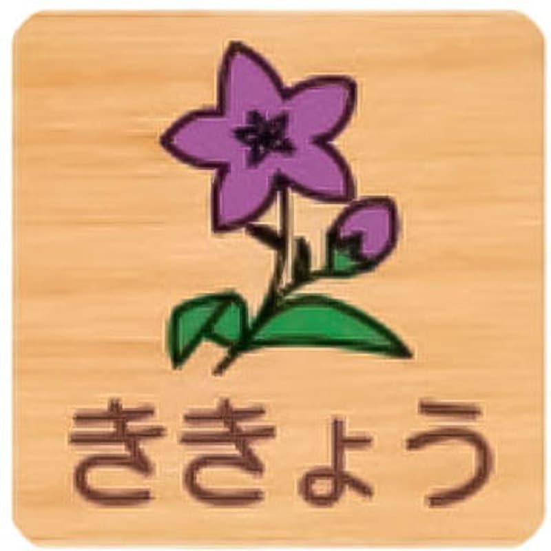 FW150R 646ききょう 平付型木製サイン 600番台(草花) フジタ[室名札・標識] ビス止め ききょう