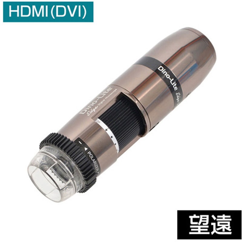 【人気@1380】ティモシー(2頭) DINOAM5218MZTL ディノライト 1個 ディノライト 【通販モノタロウ】