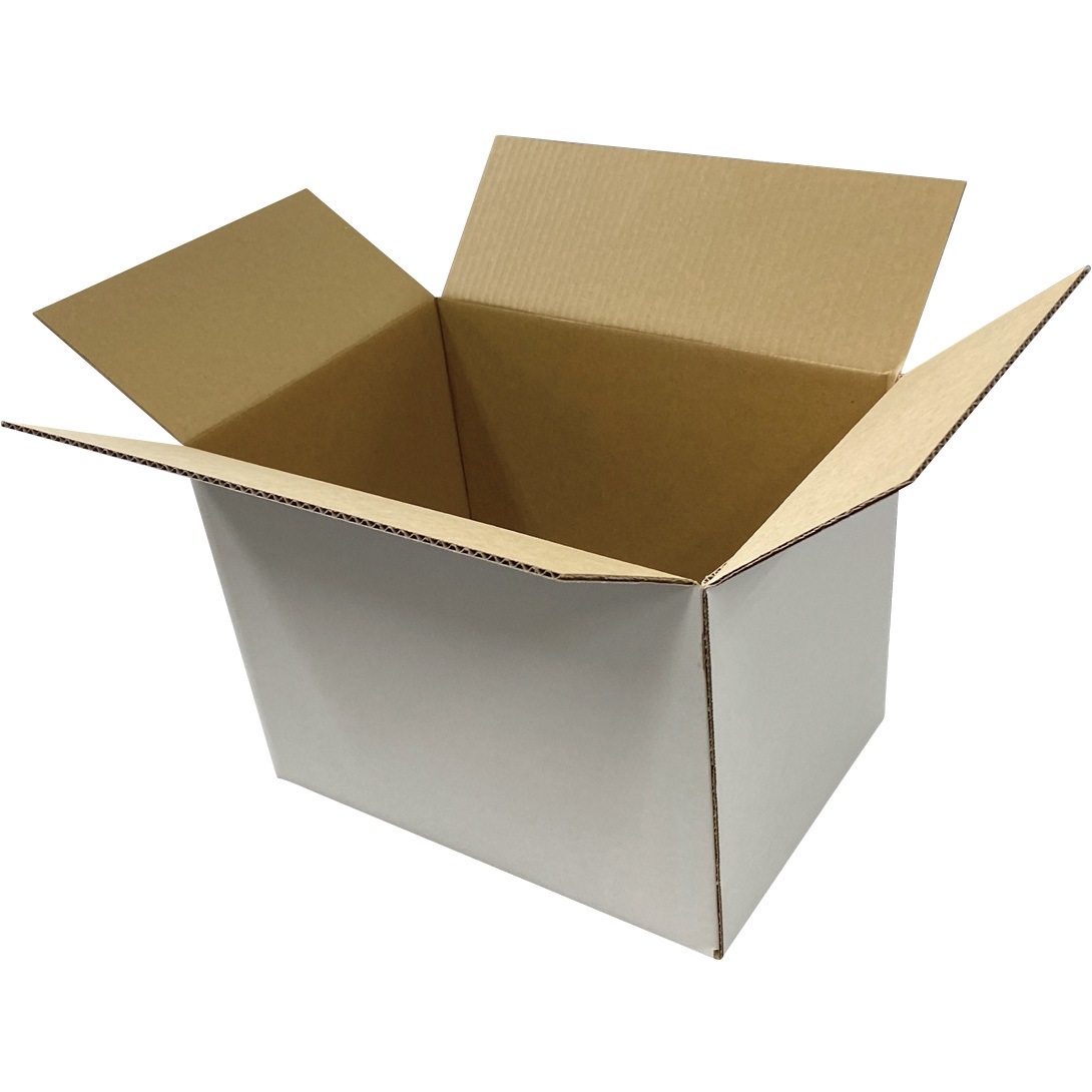 (まとめ)アーテック 片面白段ボール(10枚組) 〔×10セット〕 まとめ)アーテック 片面白段ボール(10枚組) ×10セット まとめ