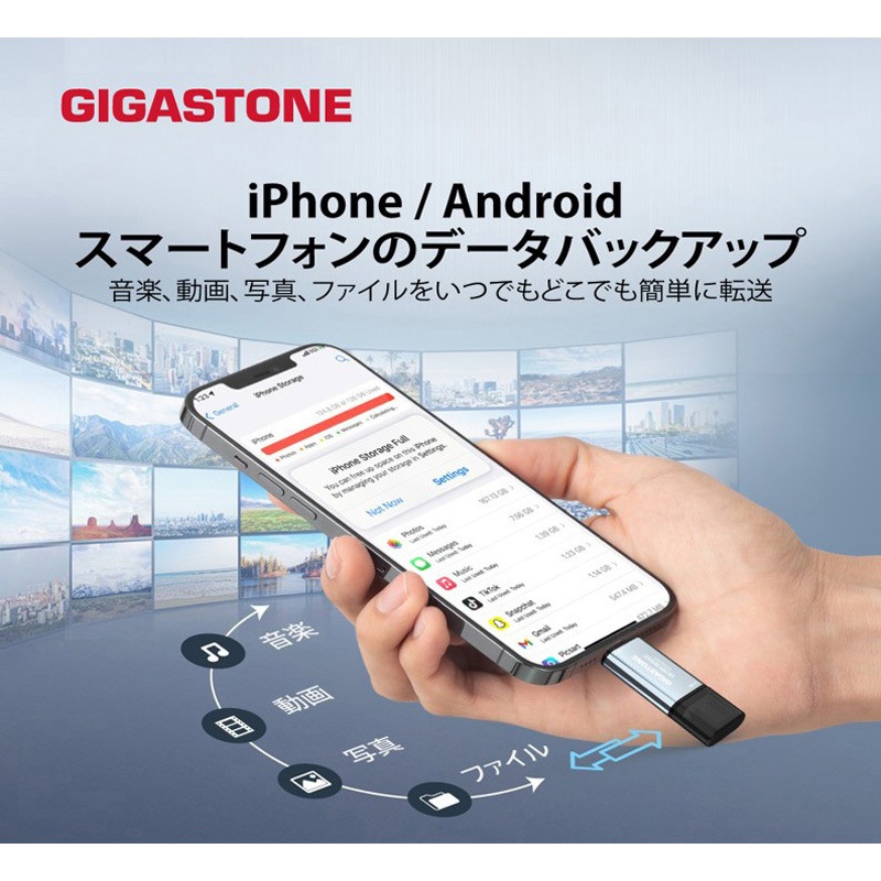 GJSSD-ACP5-1TB 2in1超小型高速ポータブルSSD 3年保証 1個 Gigastone