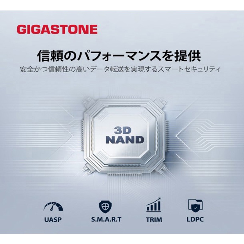 GJSSD-ACP10-2TB 2in1超小型高速ポータブルSSD 3年保証 1個 Gigastone