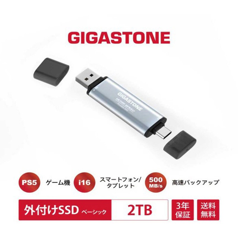 GJSSD-ACP10-2TB 2in1超小型高速ポータブルSSD 3年保証 Gigastone