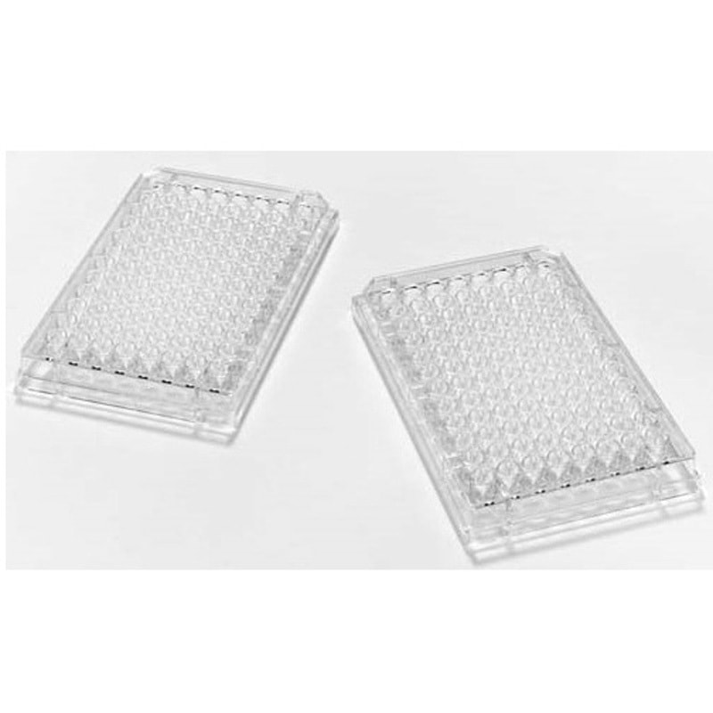 290-8116-01V テストプレート96well V底 蓋無 未滅菌 290-8116-01Vシリーズ 1セット(5個×100枚) EVER GREEN 【通販モノタロウ】