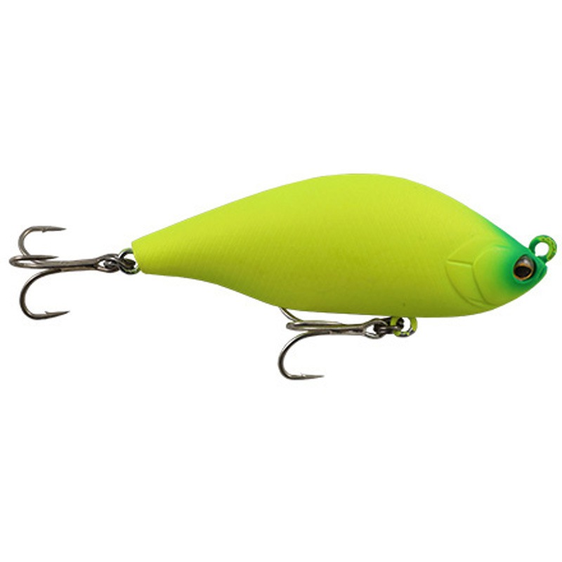 bo★オラクル Amazon.co.jp: オラクルカード、ガイドフューチャー付き44枚のタロット