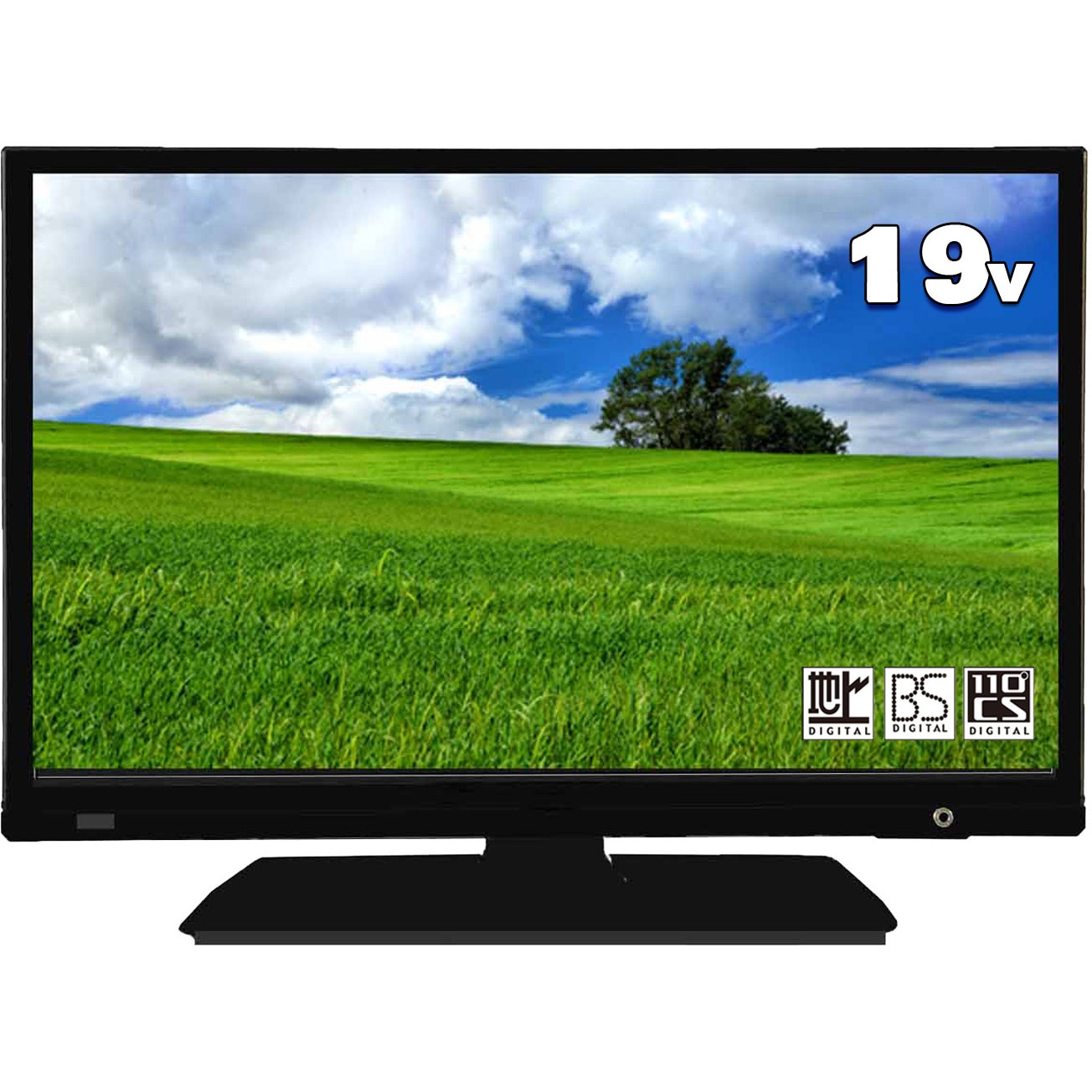 AS19BTM 19インチハイビジョン 病院向け液晶テレビ 1個 APEX 【通販