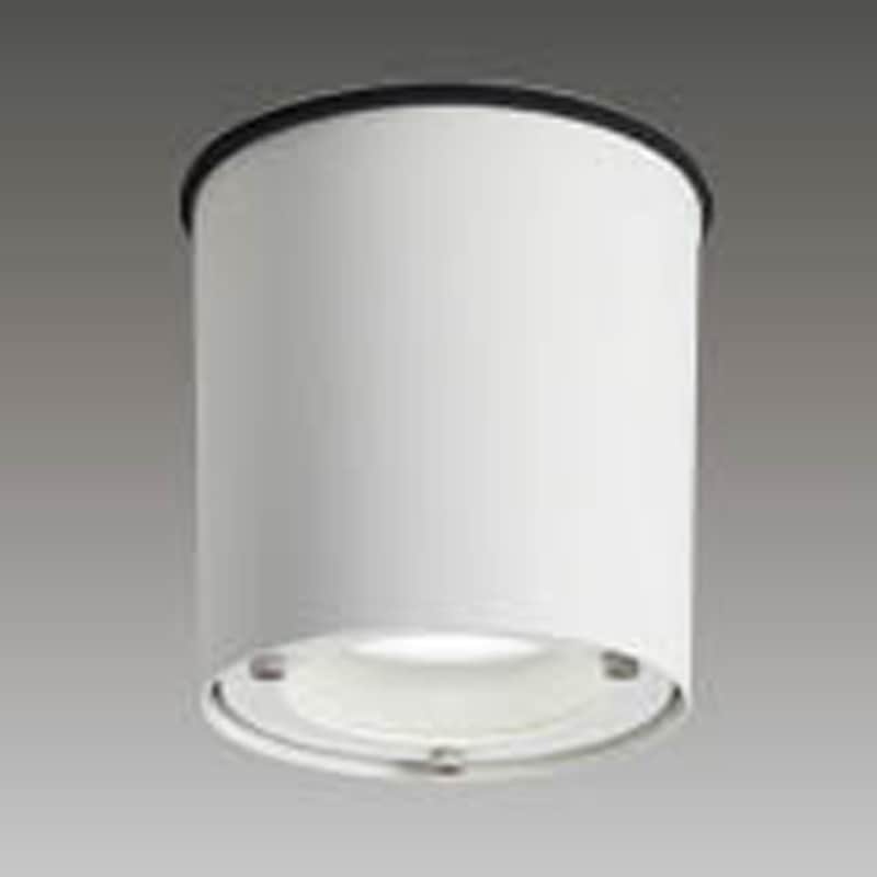 LEKG103911N-LS9 ユニット交換形DL軒下CL 東芝ライテック Ra83 100～242V 5000K 配光角度100° 昼白色 調光不可 LEKG103911N-LS9