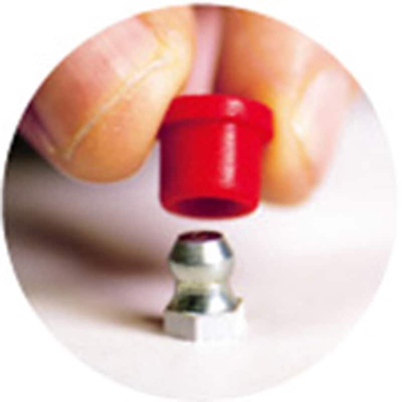 GAP06X5S-P キャップ(グリスニップル用) 1袋(10個) 岩田製作所 【通販