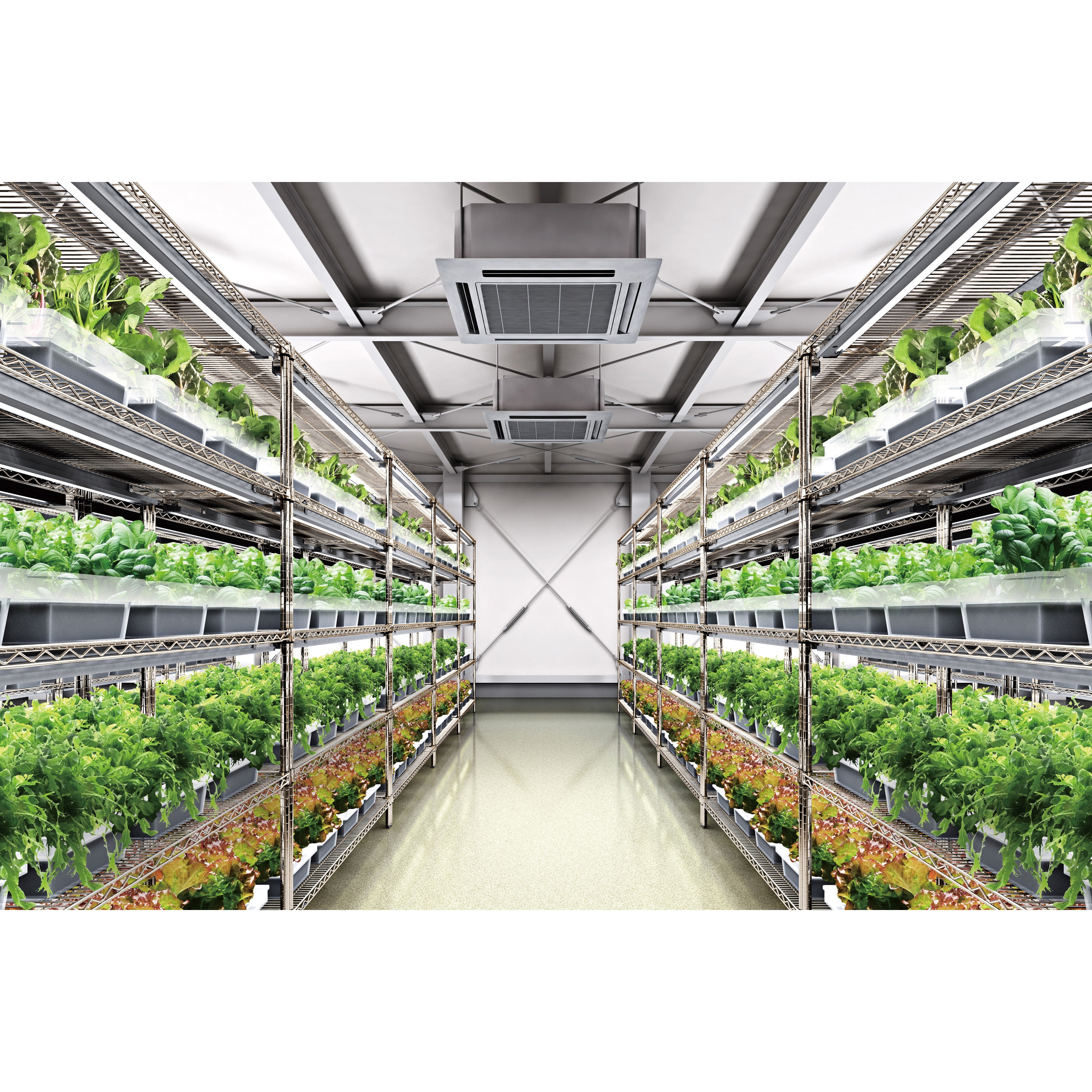 SBS-1220B5 エレクタースーパーシリーズ(ステンレスワイヤーシェルフ