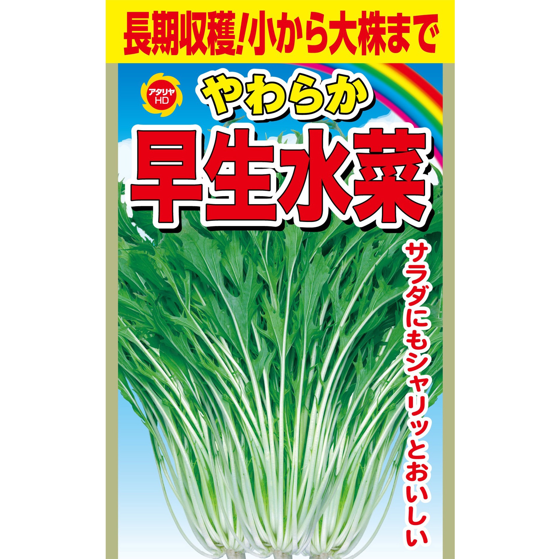 CAT699055 【タネ】 やわらか 早生水菜 1袋 アタリヤ農園 【通販