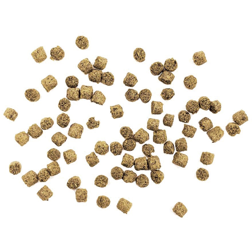 1号 海産稚魚用 沈降型(海水 稚魚用) 1袋 ケニス 【通販モノタロウ】 17,486円