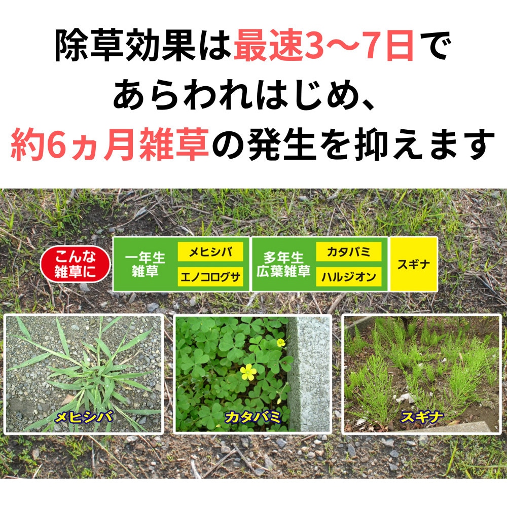 草退治E粒剤 1袋(7.5kg) 住友化学園芸 【通販モノタロウ】