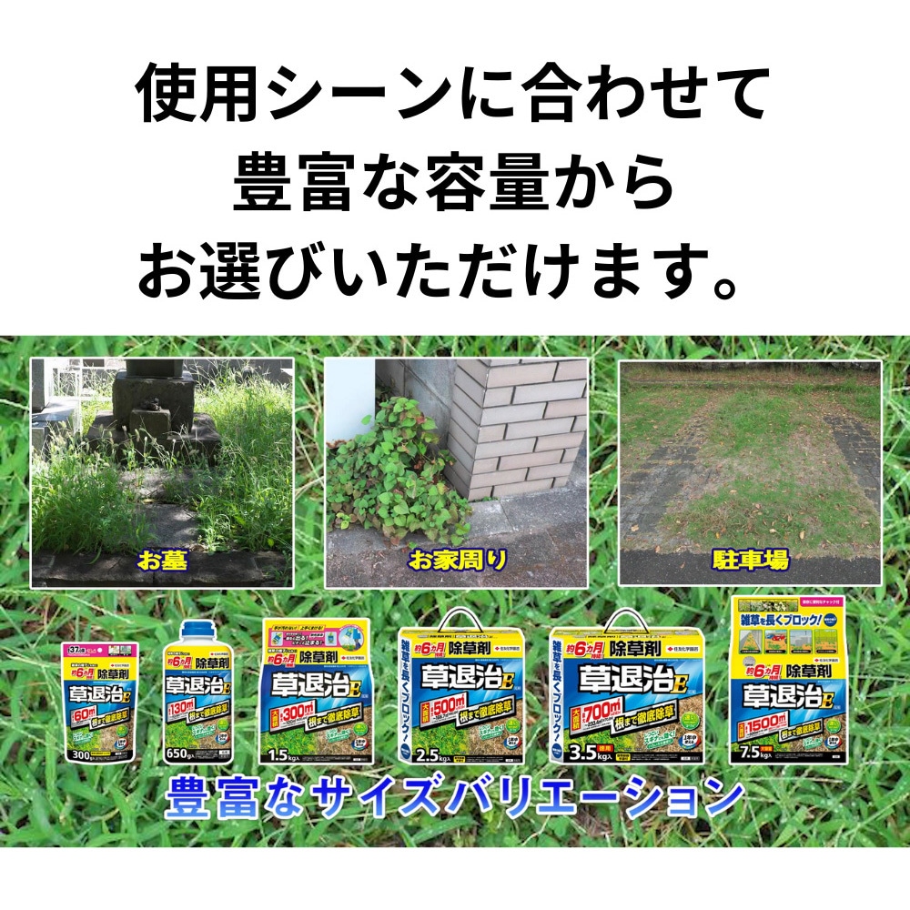 魅力の 草退治E粒剤 【通販モノタロウ】 住友化学園芸 1袋(7.5kg) 肥料・園芸薬剤