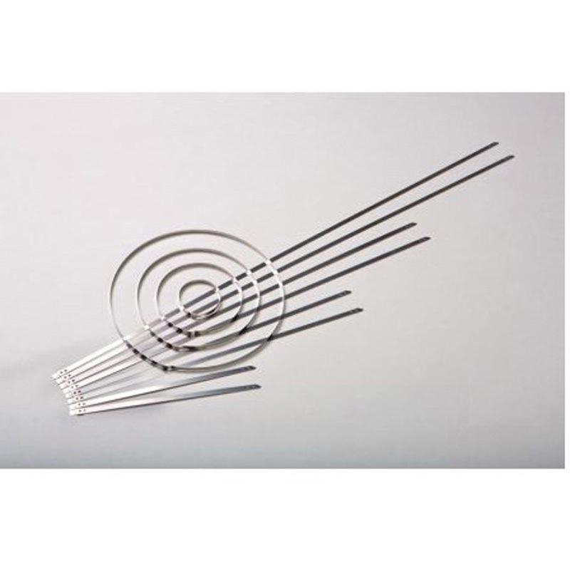 111-01633 結束バンド 700mm x 8.9 mm 1袋 100個入 1袋(100個) ヘラマンタイトン(旧:タイトン) 【通販モノタロウ】